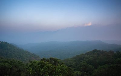 A Weekend Trip To Coorg