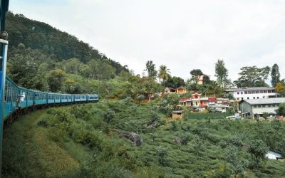 The Best Things To Do In Ella, Sri Lanka