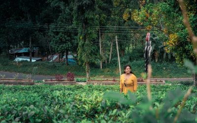 Nuwara Eliya, Sri Lanka’s Very Own Little England