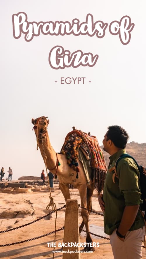 Egypt - Great Pyramids of Giza - camels 1 Luxor, Egypt - The Land Of The Mummies