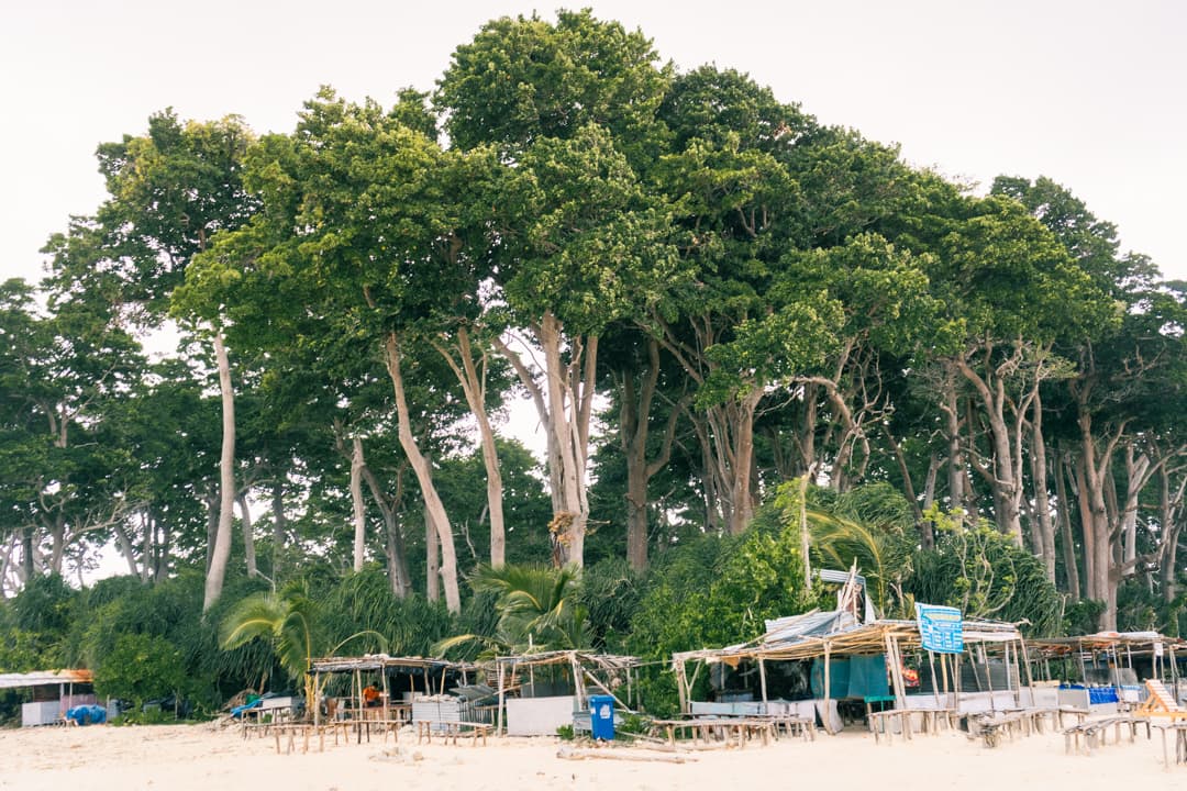 food in havelock island andaman