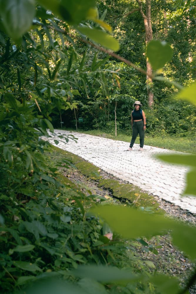 Havelock Island reef diving snorkelling